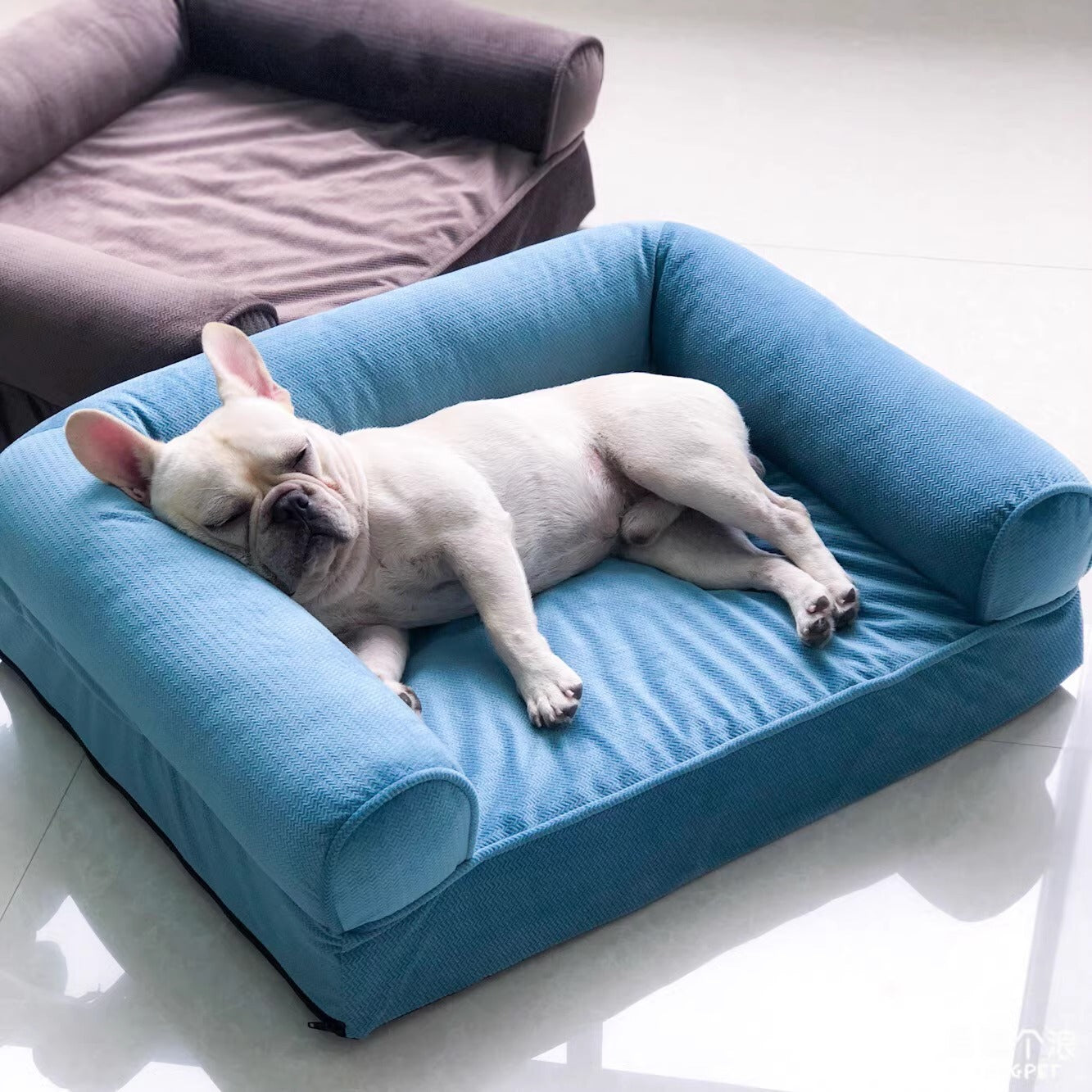 French Bulldog Removable Dog Lounger for Flat-Face Breeds-fadou