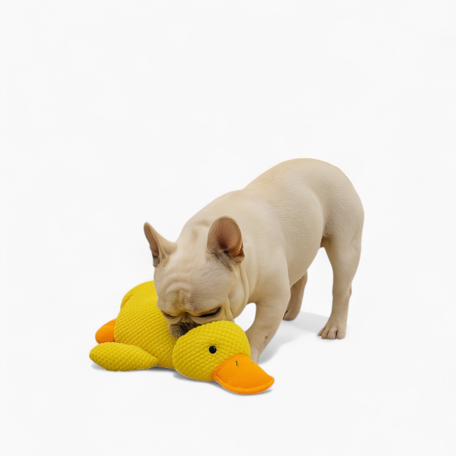 French Bulldog Interactive Chew Toy for Brachycephalic Dogs-fadou