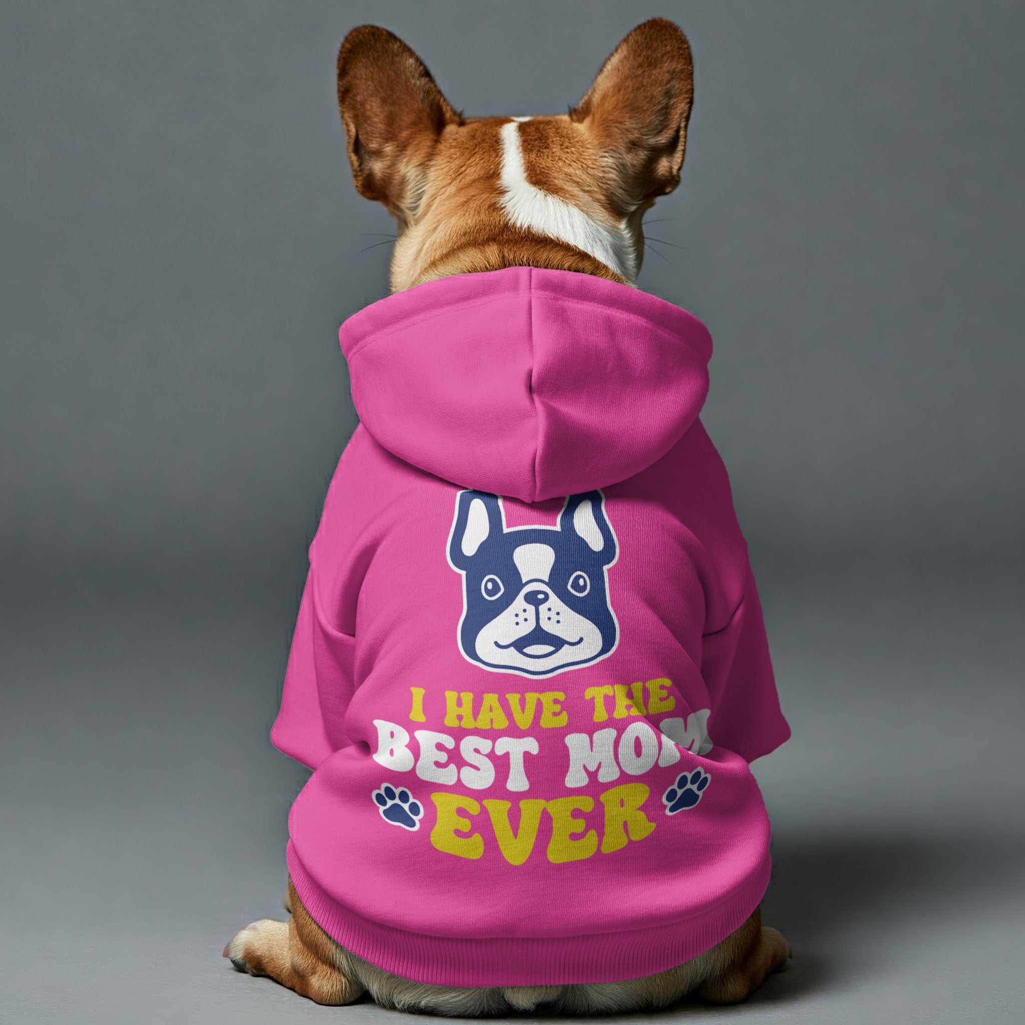 Frenchie Personalized Pet Sweatshirt for Outdoor Adventures-fadou