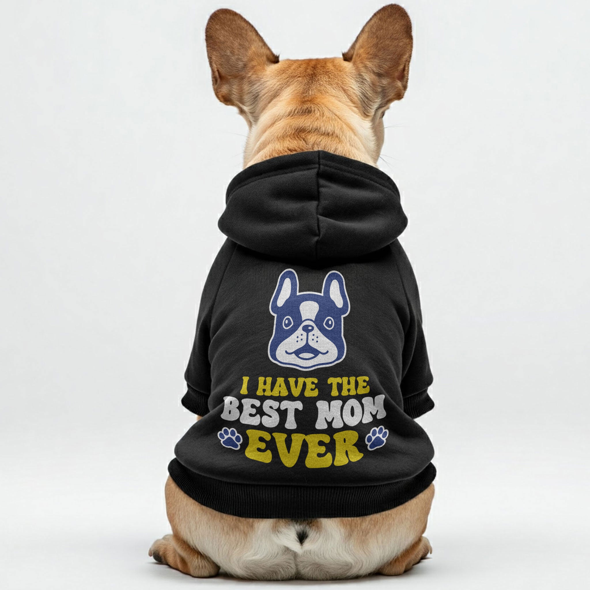 Frenchie Personalized Pet Sweatshirt for Outdoor Adventures-fadou