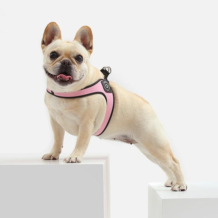 French Bulldog No-Pull Walking Harness for Travel Comfort-fadou