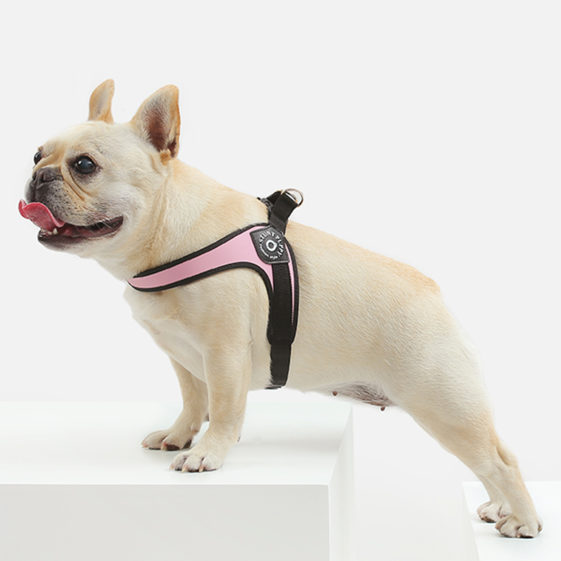 French Bulldog No-Pull Walking Harness for Travel Comfort-fadou