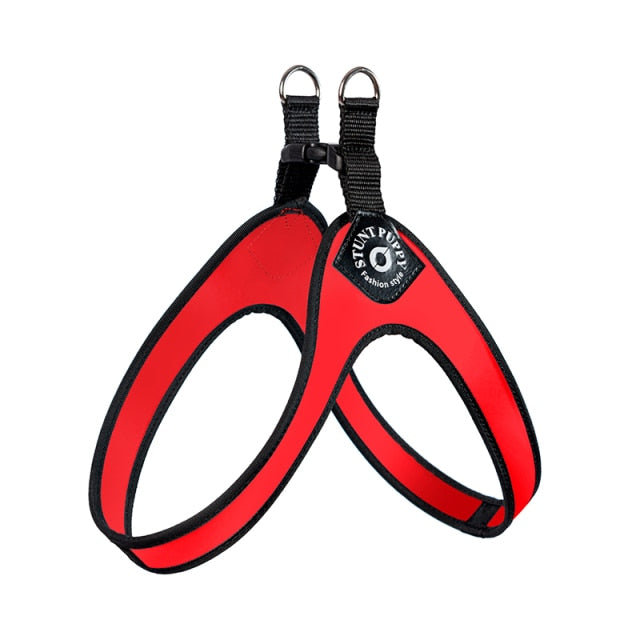 French Bulldog No-Pull Walking Harness for Travel Comfort-fadou