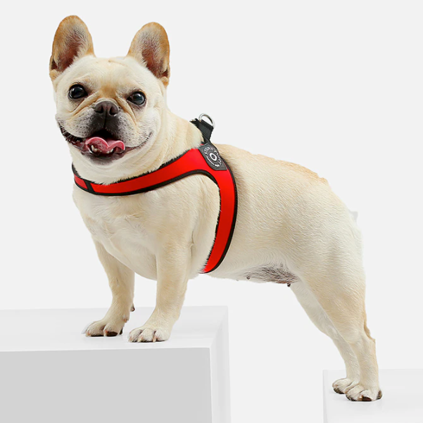 French Bulldog No-Pull Walking Harness for Travel Comfort-fadou