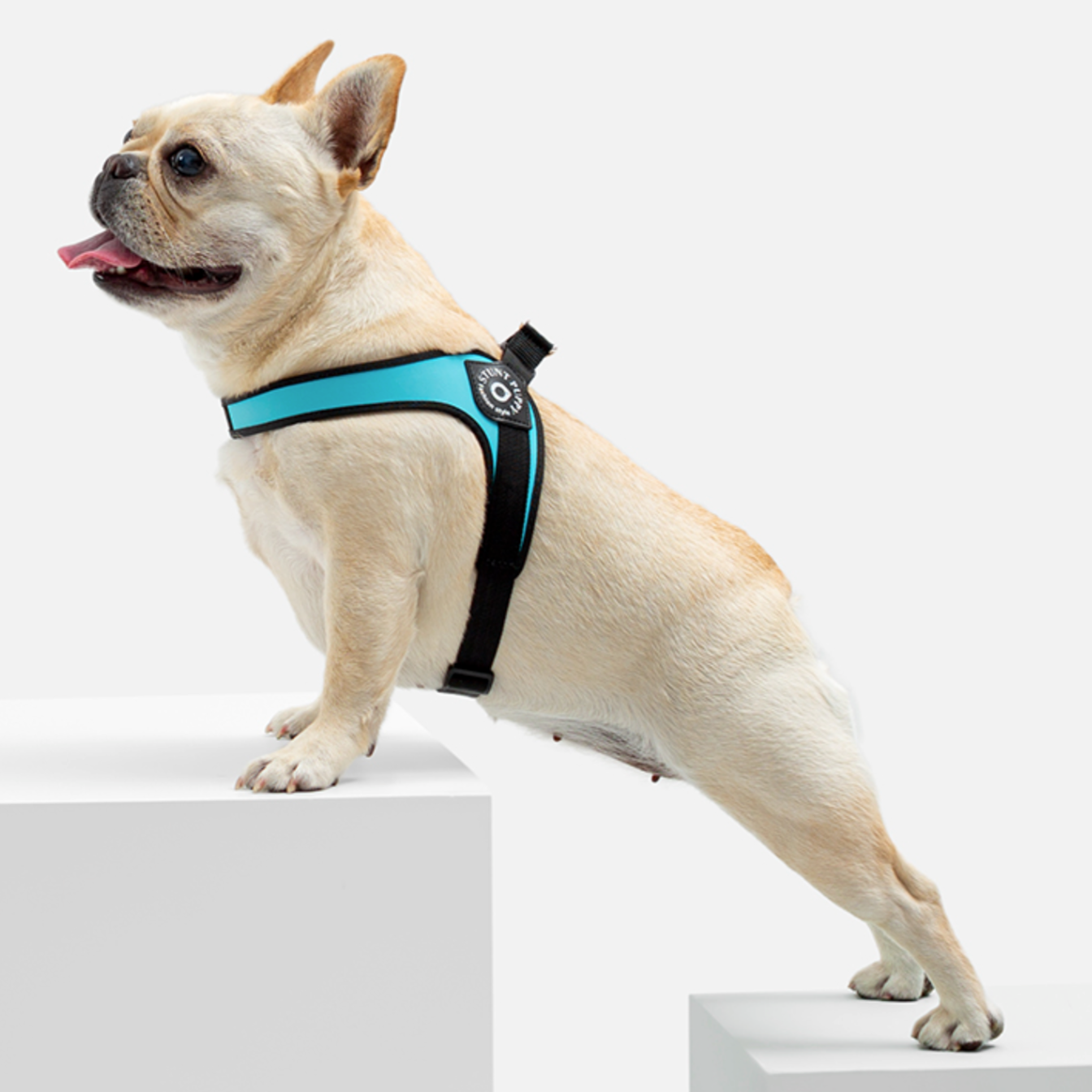 French Bulldog No-Pull Walking Harness for Travel Comfort-fadou