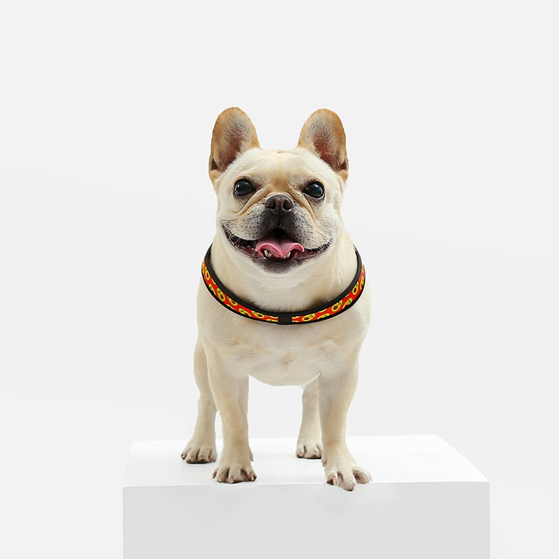 French Bulldog No-Pull Walking Harness for Travel Comfort-fadou