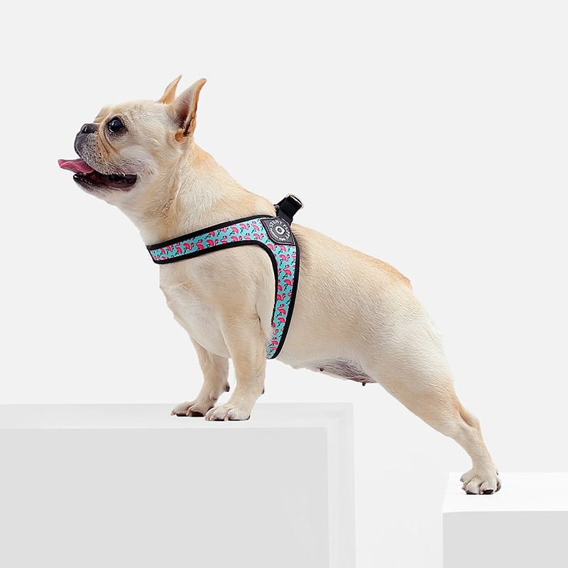 French Bulldog No-Pull Walking Harness for Travel Comfort-fadou