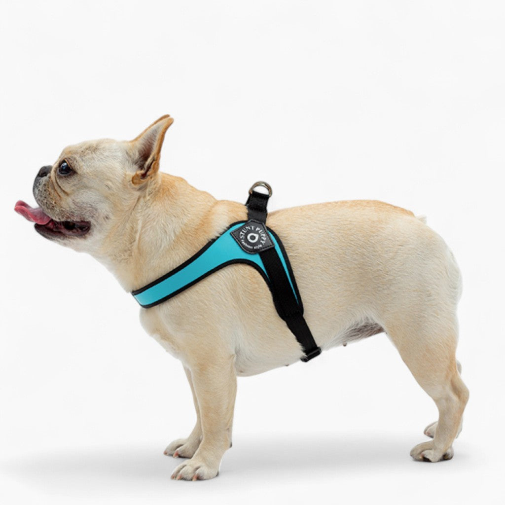 French Bulldog No-Pull Walking Harness for Travel Comfort-fadou