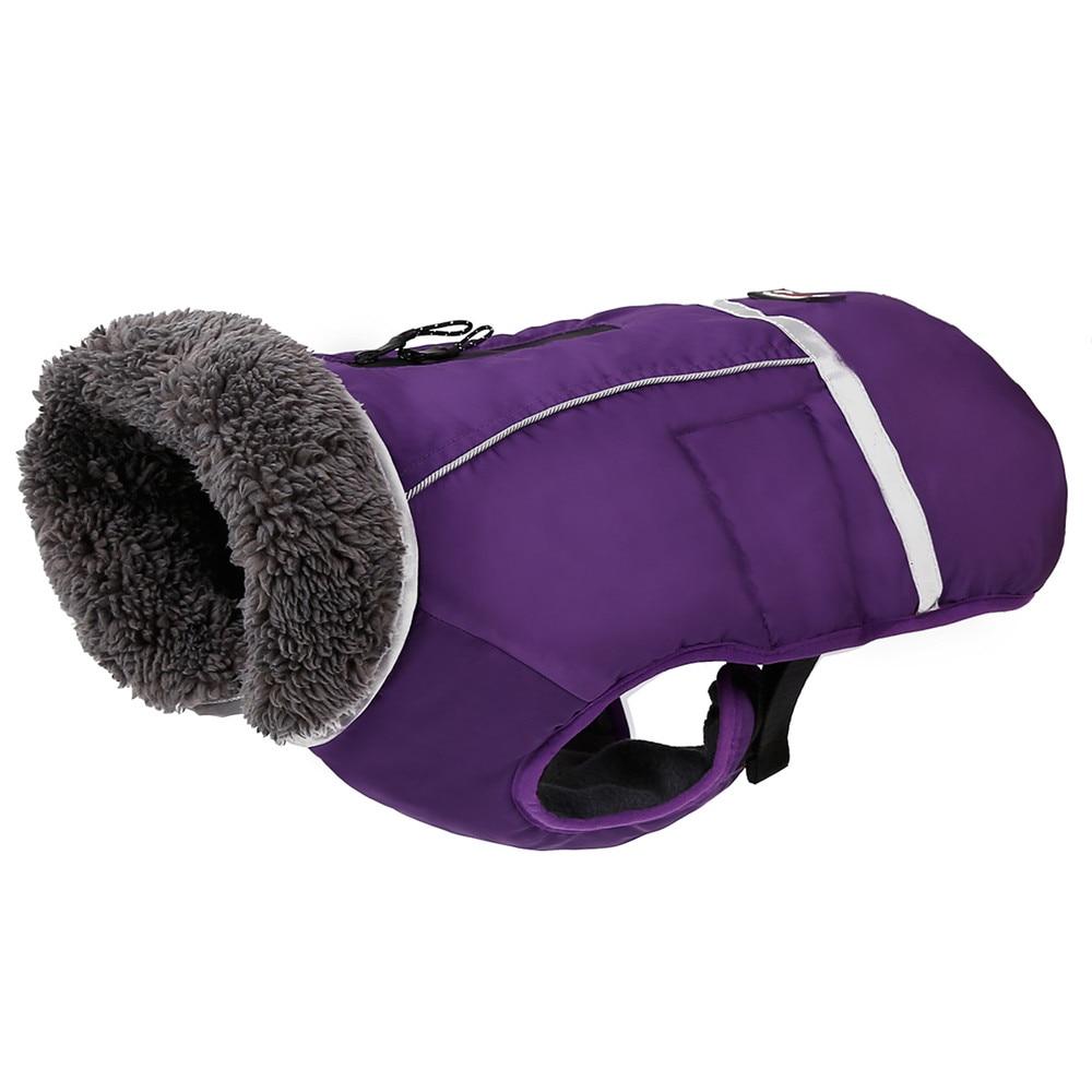 Warm Coat for Frenchie for French Bulldog Owners and Fans-fadou