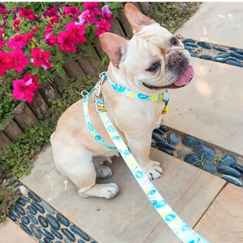 French Bulldog No-Pull Chest Harness for Short-Nosed Dogs-fadou
