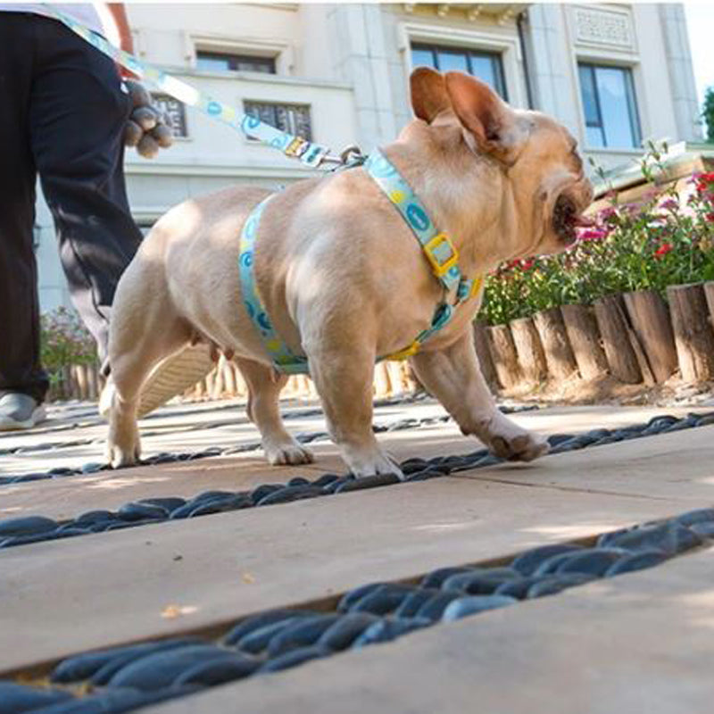French Bulldog No-Pull Chest Harness for Short-Nosed Dogs-fadou