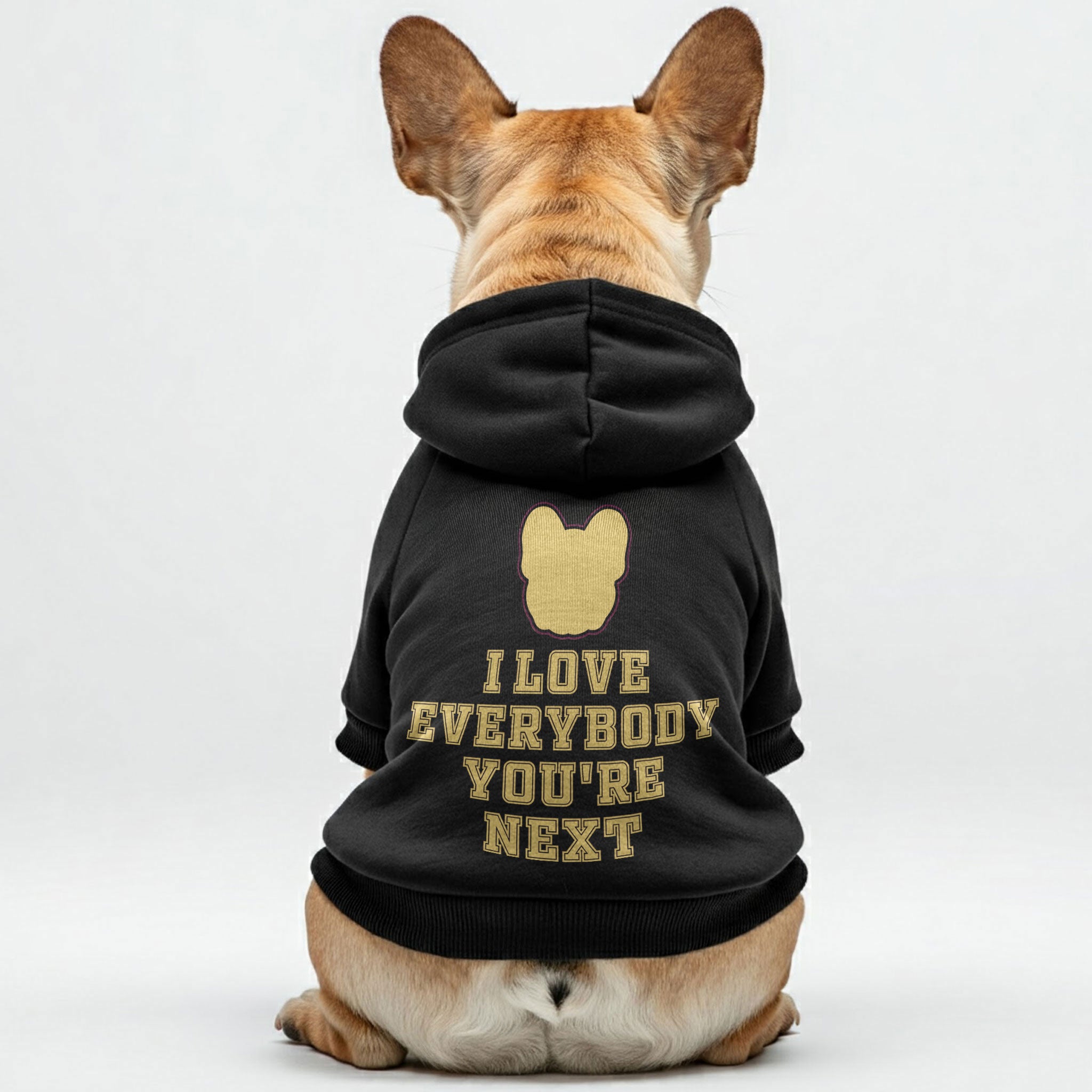 Youre French Bulldog Fleece Hoodie for Flat-Face Breeds-fadou