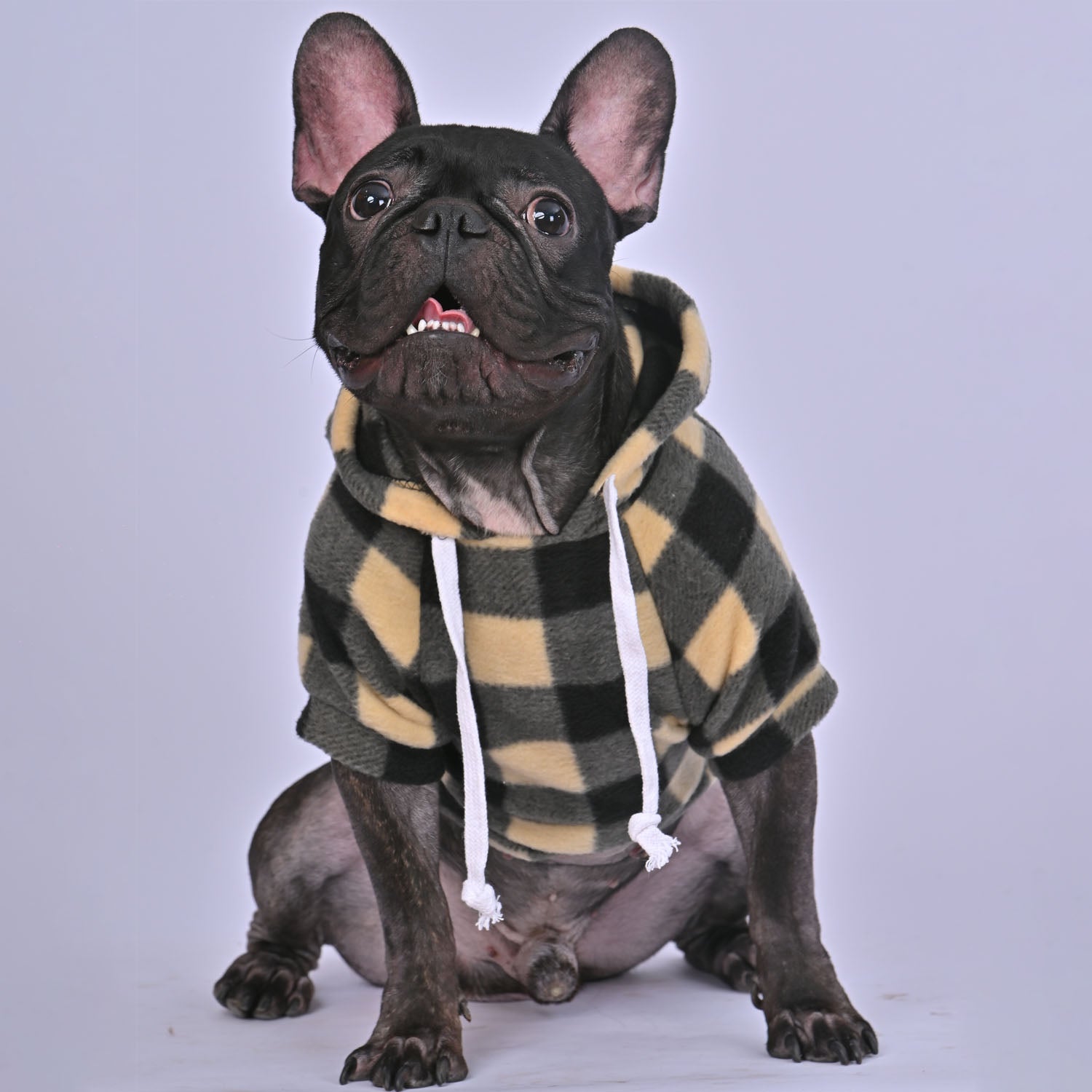 French Bulldog Warm Pet Parent Pullover for Bulldog Owners-fadou