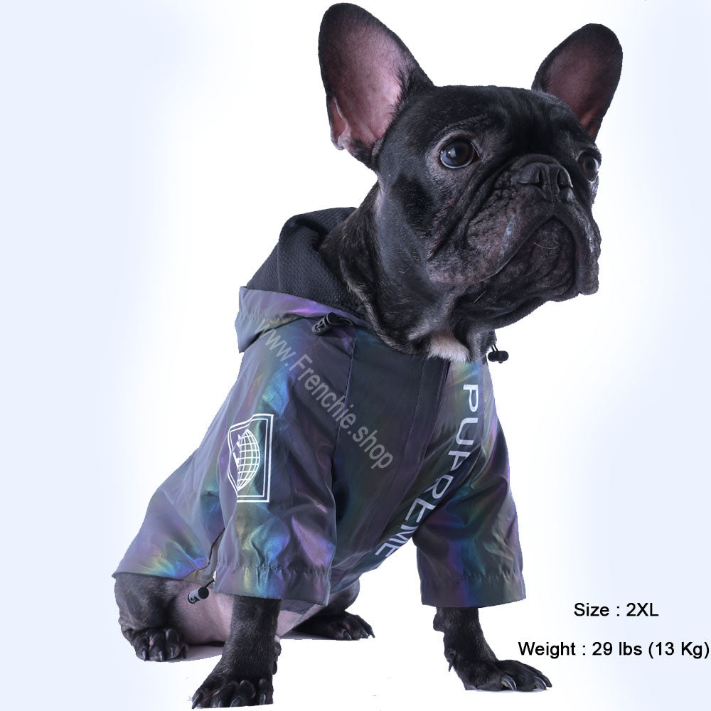 French Bulldog Reflective Dog Coat for Training Sessions-fadou