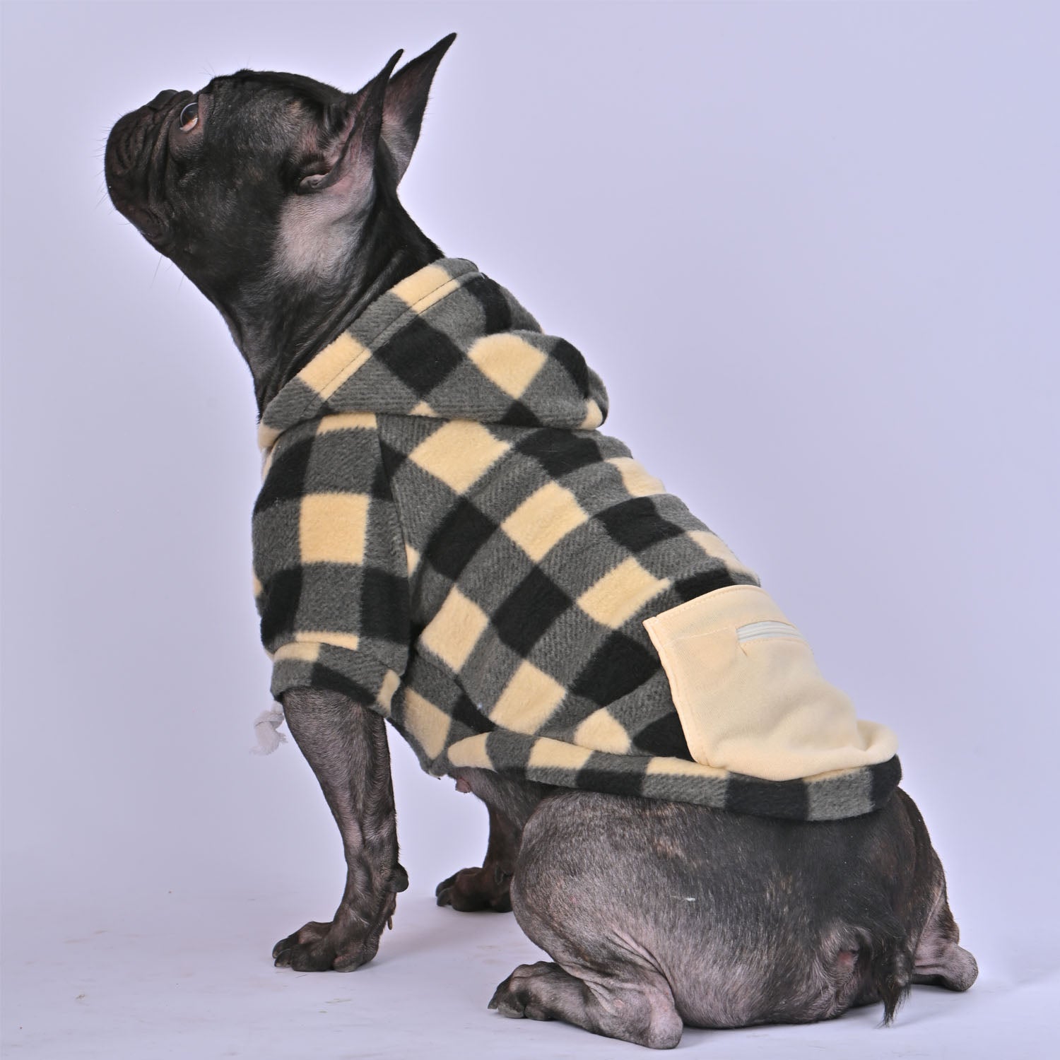 French Bulldog Warm Pet Parent Pullover for Bulldog Owners-fadou