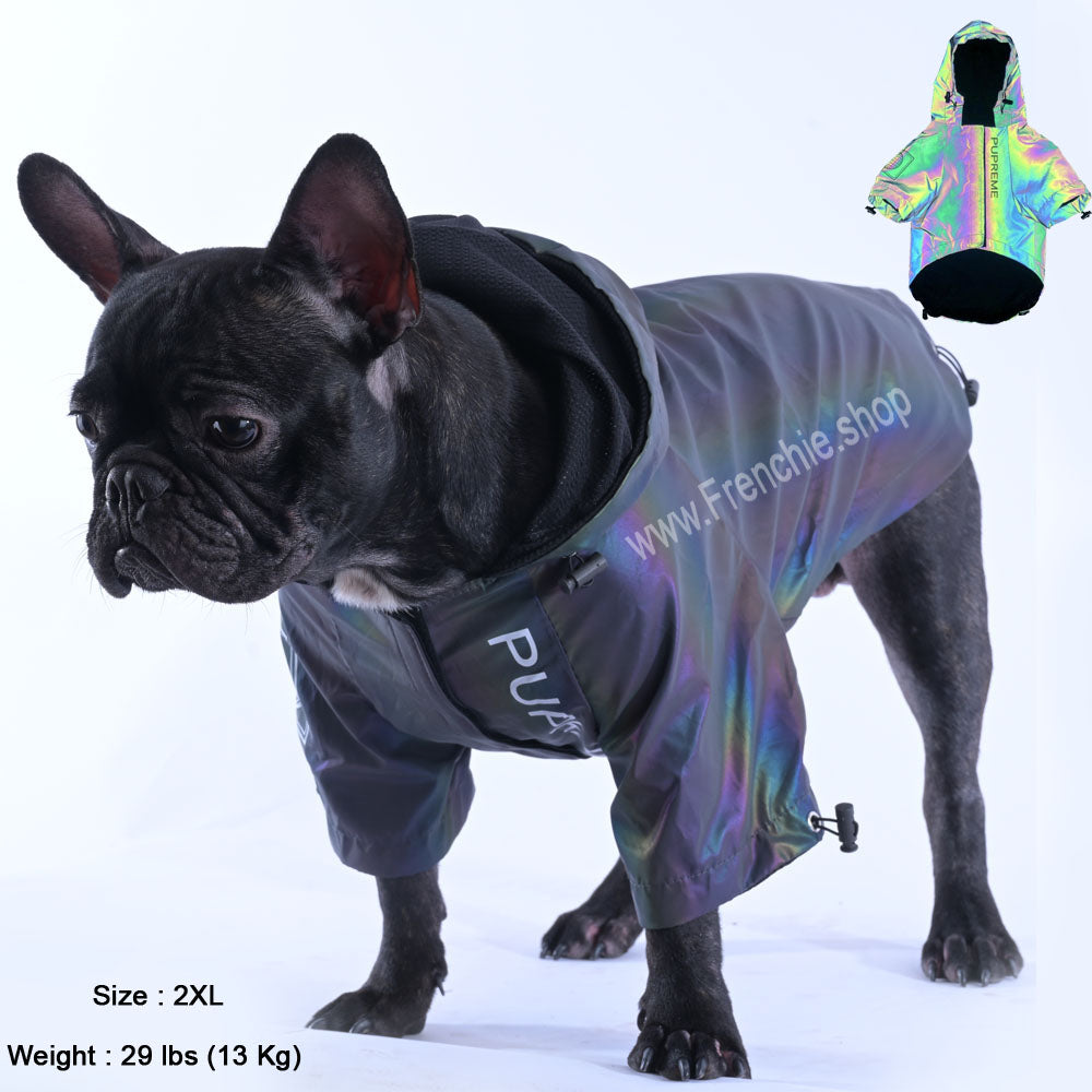 French Bulldog Reflective Dog Coat for Training Sessions-fadou