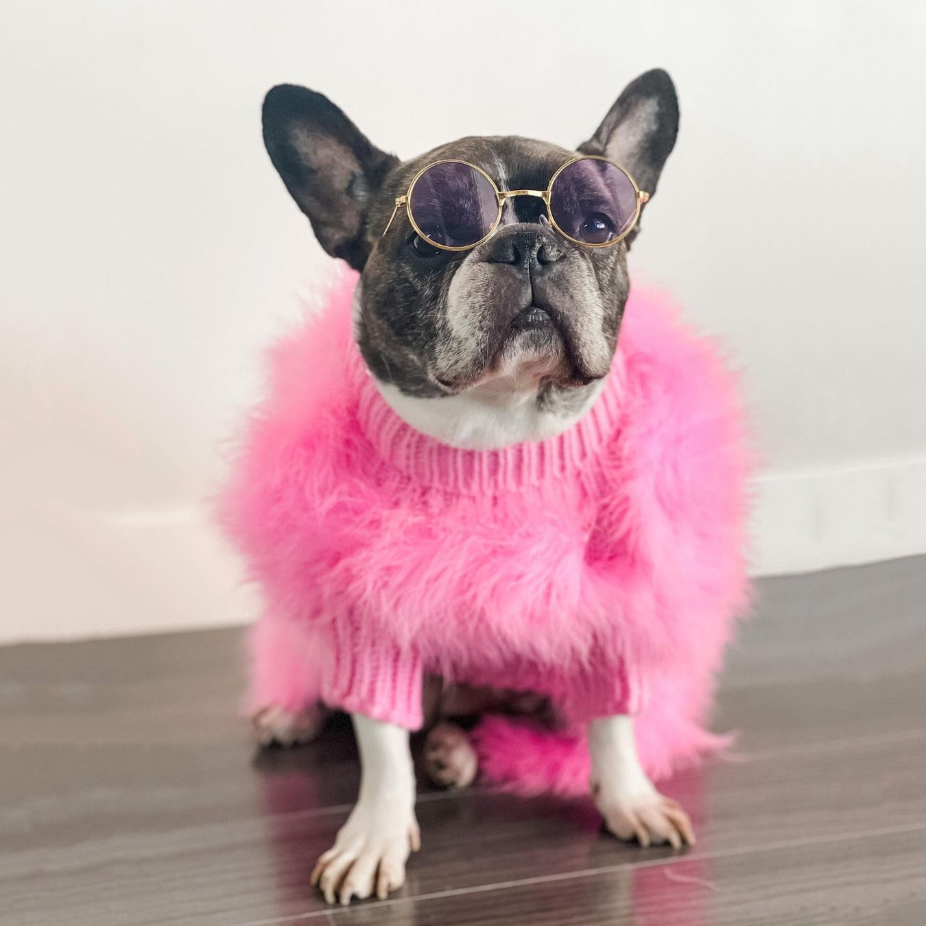 PlumePup French Bulldog Accessory for Frenchie Enthusiasts-fadou