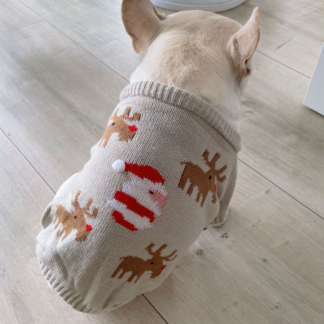 French Bulldog Warm Knit Sweater for Brachycephalic Dogs-fadou
