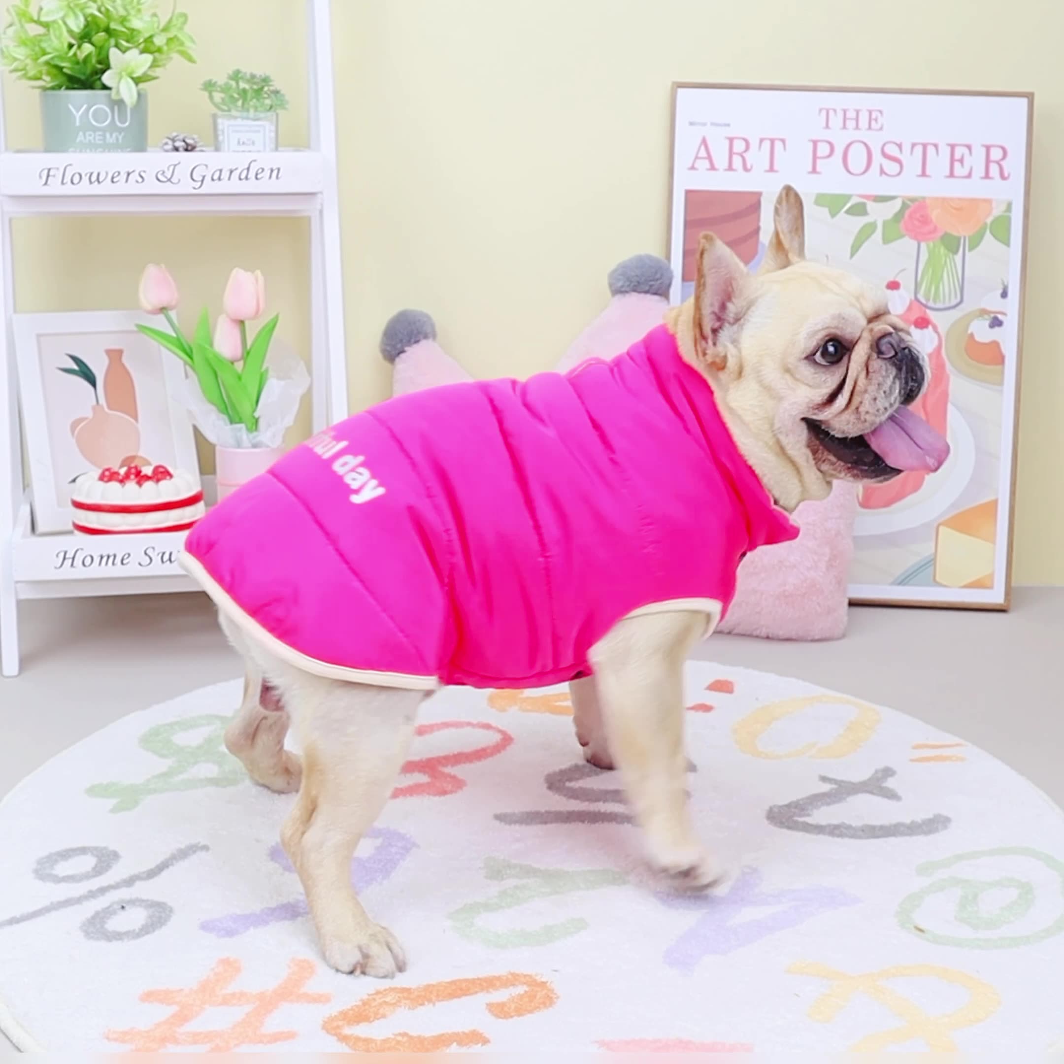 French Bulldog Fleece Warm Outerwear for Training Sessions-fadou