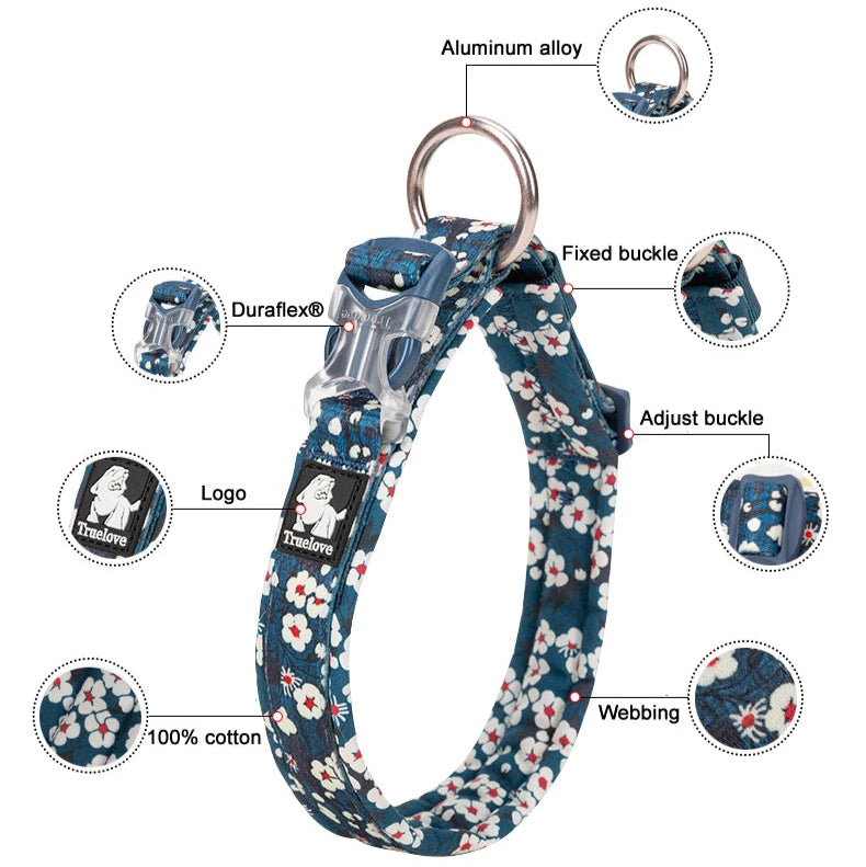 Frenchie Stylish Adjustable Collar for Training Sessions-fadou