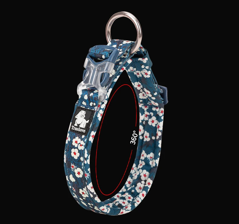 Frenchie Stylish Adjustable Collar for Training Sessions-fadou