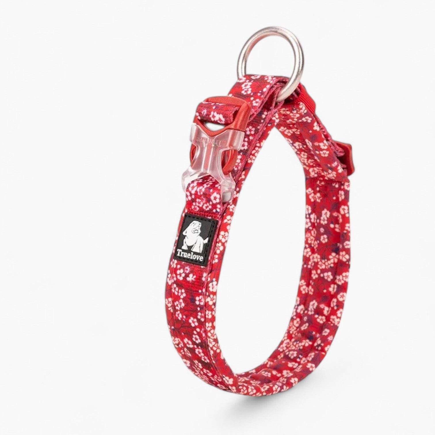 Frenchie Stylish Adjustable Collar for Training Sessions-fadou