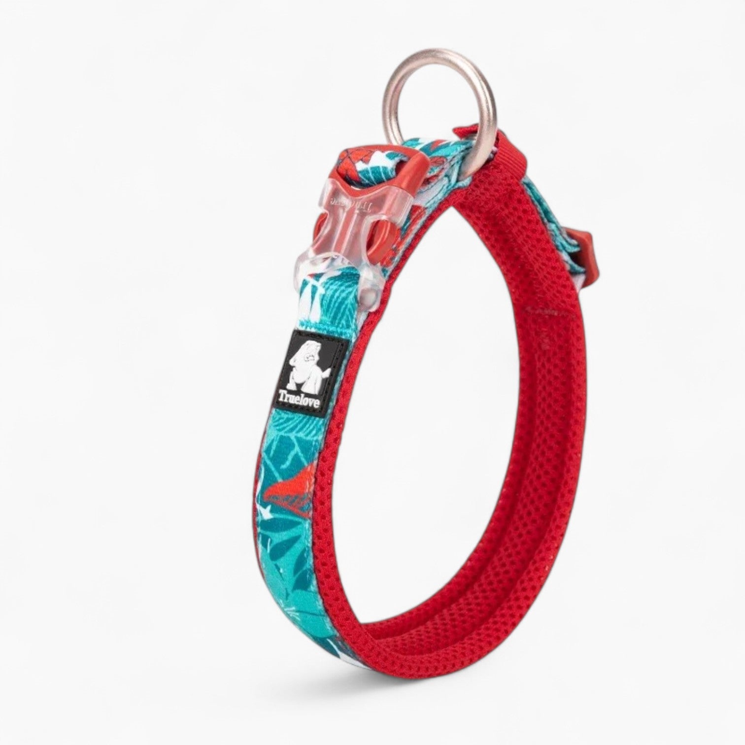 Frenchie Stylish Adjustable Collar for Training Sessions-fadou