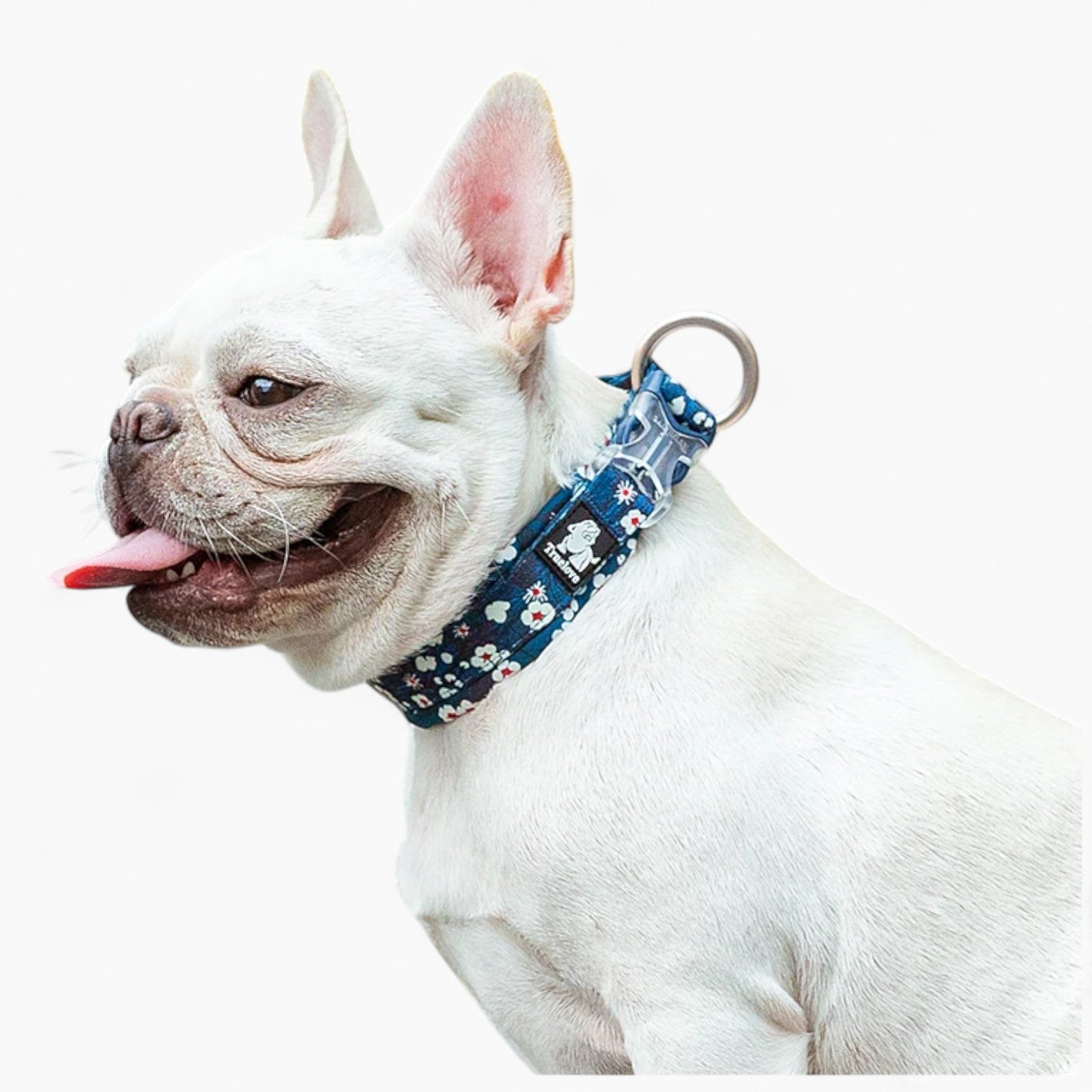 Frenchie Stylish Adjustable Collar for Training Sessions-fadou