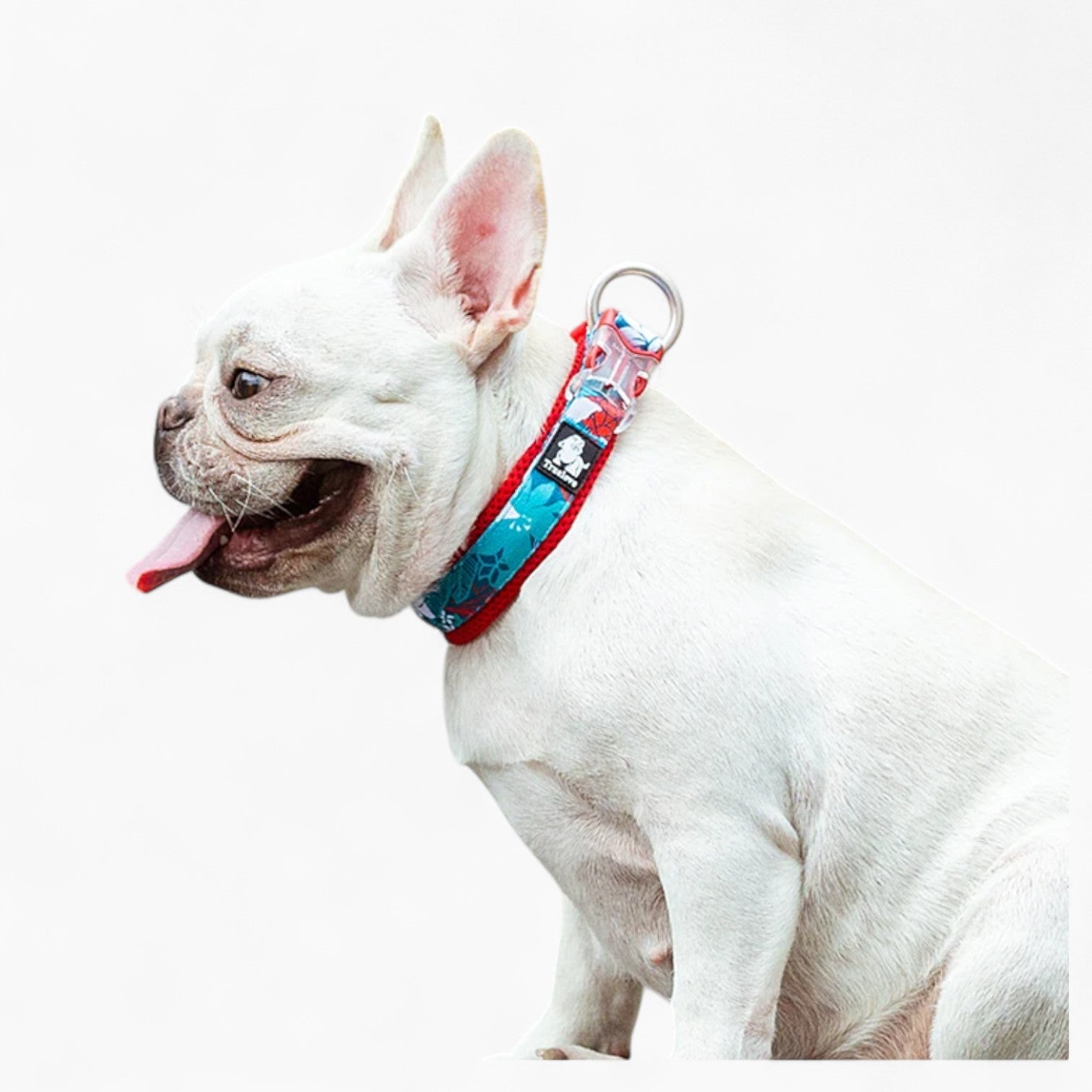 Frenchie Stylish Adjustable Collar for Training Sessions-fadou