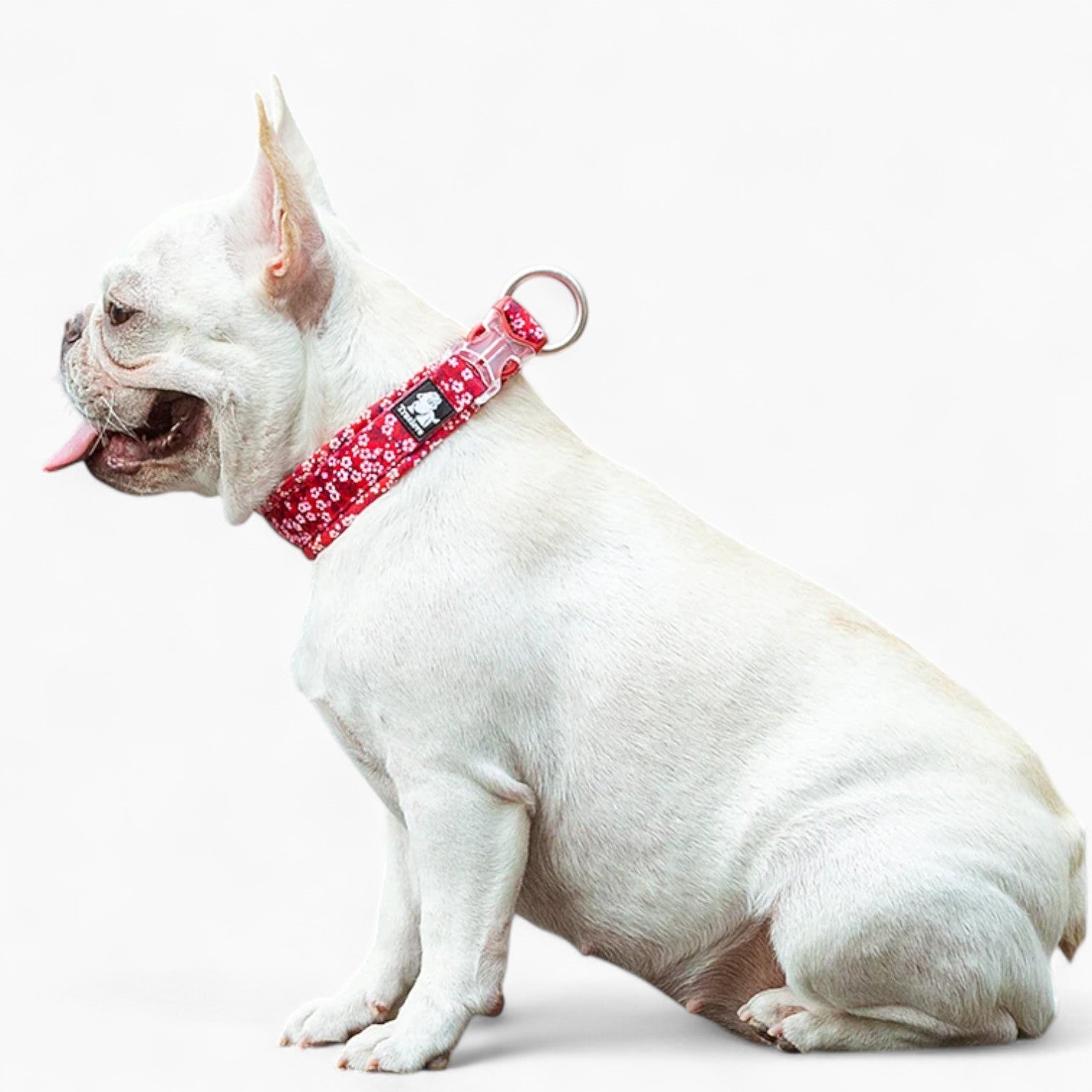 Frenchie Stylish Adjustable Collar for Training Sessions-fadou