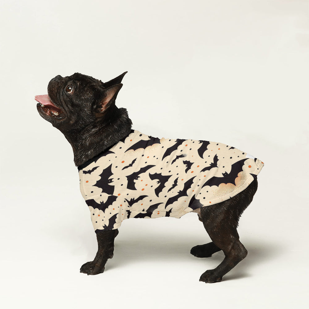 Frank French Bulldog Pet Sweater for Outdoor Adventures-fadou