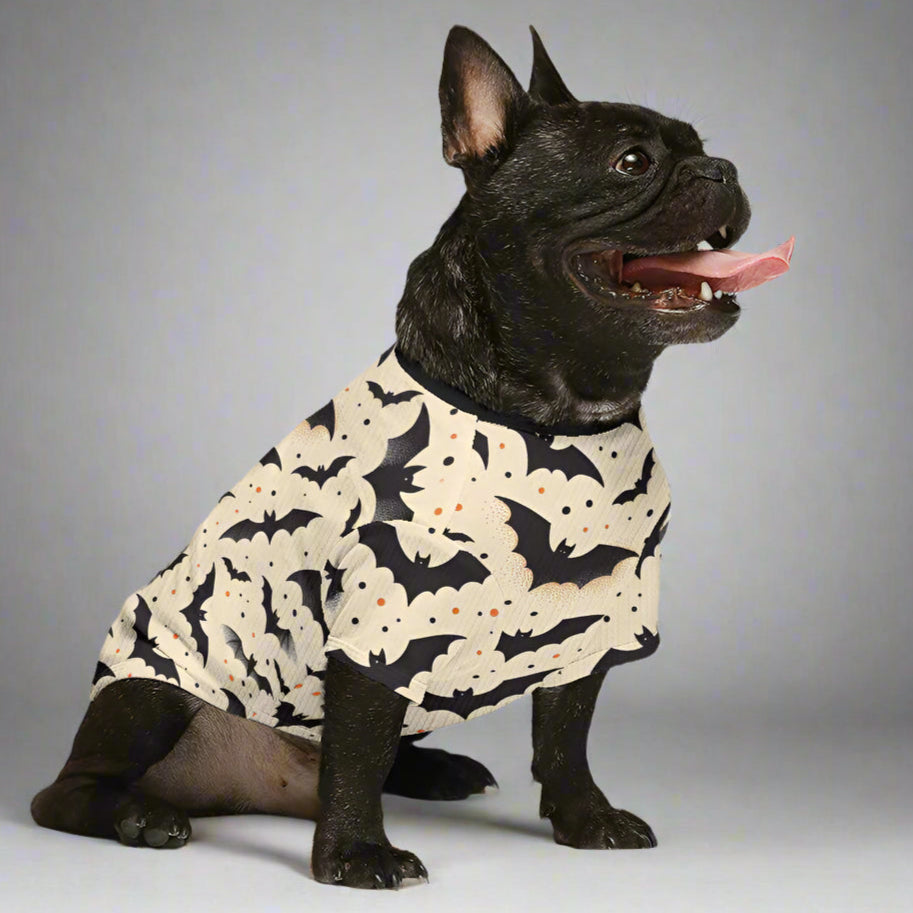 Frank French Bulldog Pet Sweater for Outdoor Adventures-fadou