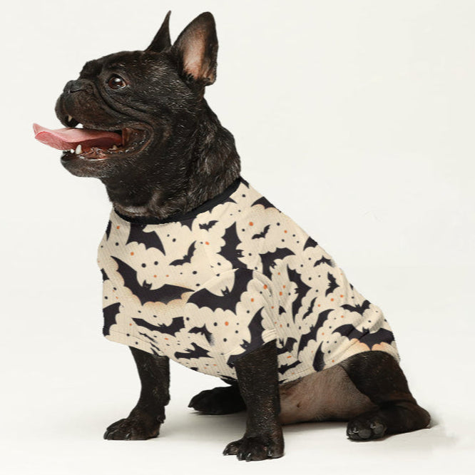 Frank French Bulldog Pet Sweater for Outdoor Adventures-fadou