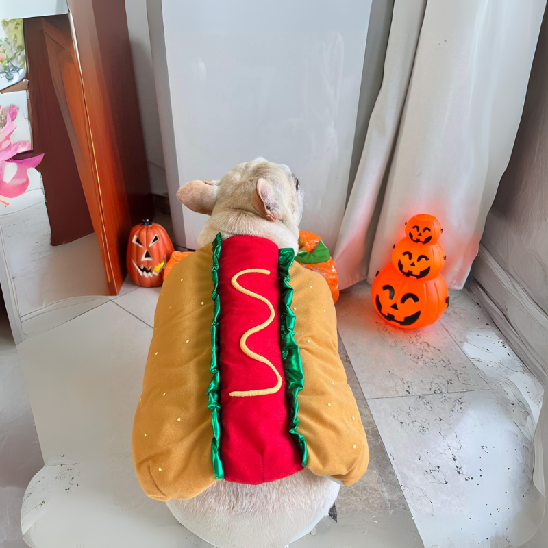 French Bulldog Adjustable Festive Costume for Cozy Nights-fadou