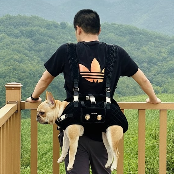 French Bulldog Breathable Travel Sling for Training Sessions-fadou