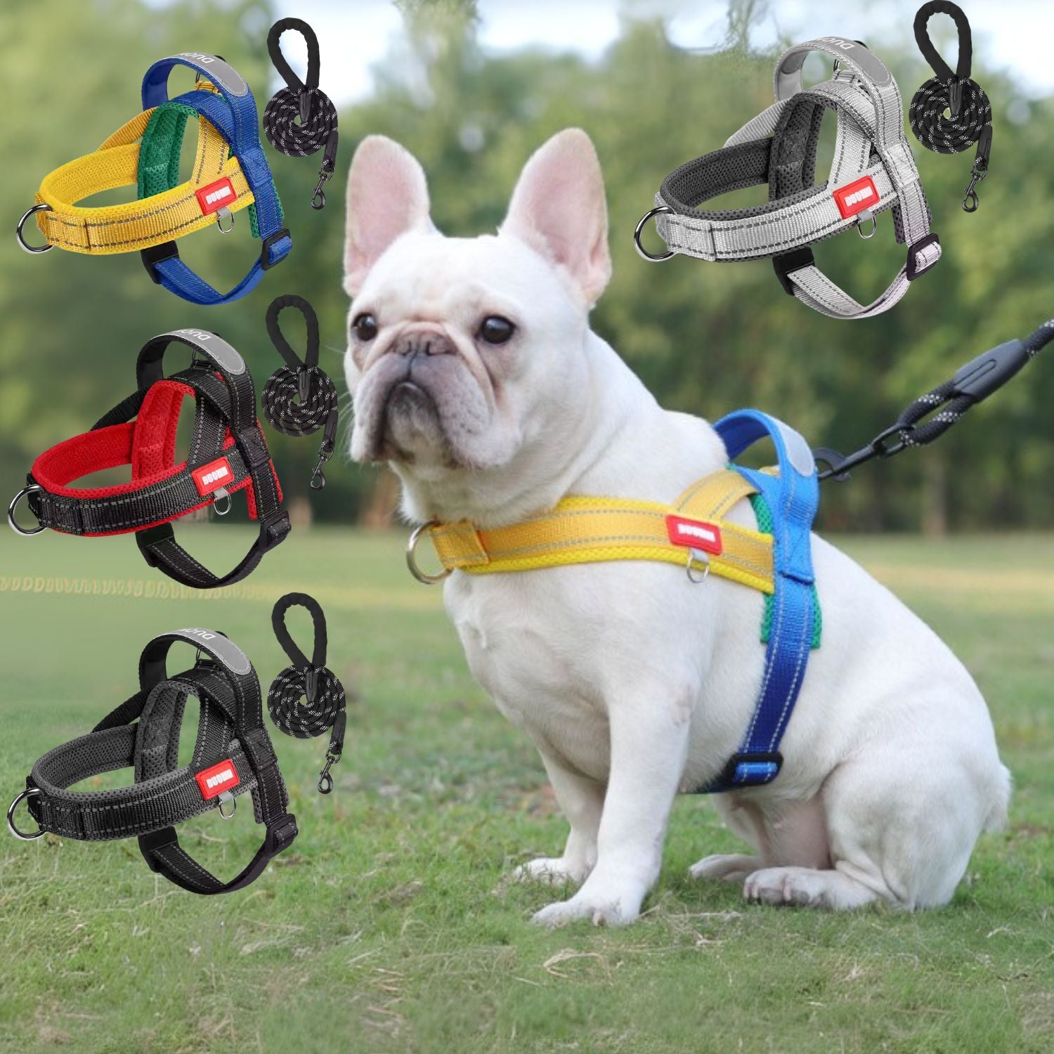 FrenFit No-Pull Walking Harness for Brachycephalic Dogs-fadou