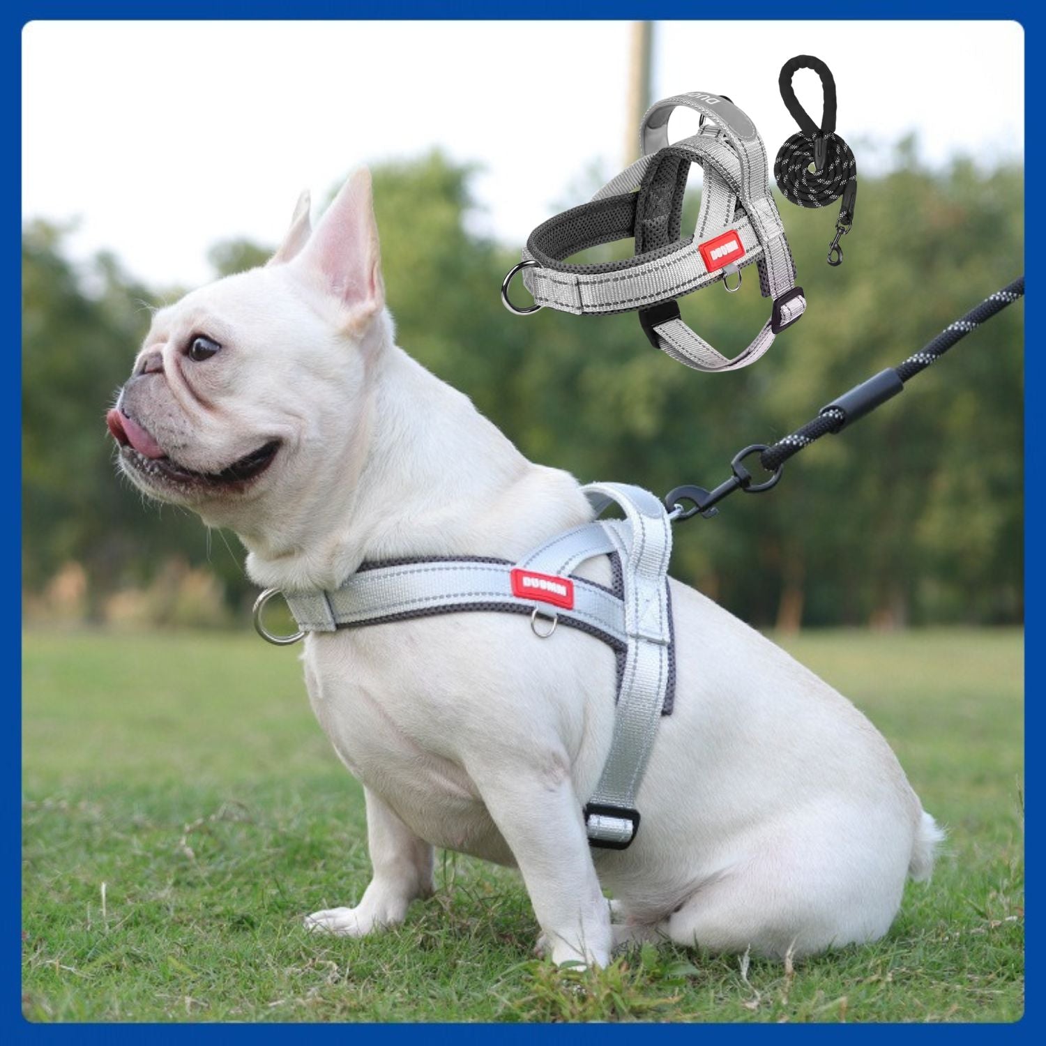 FrenFit No-Pull Walking Harness for Brachycephalic Dogs-fadou