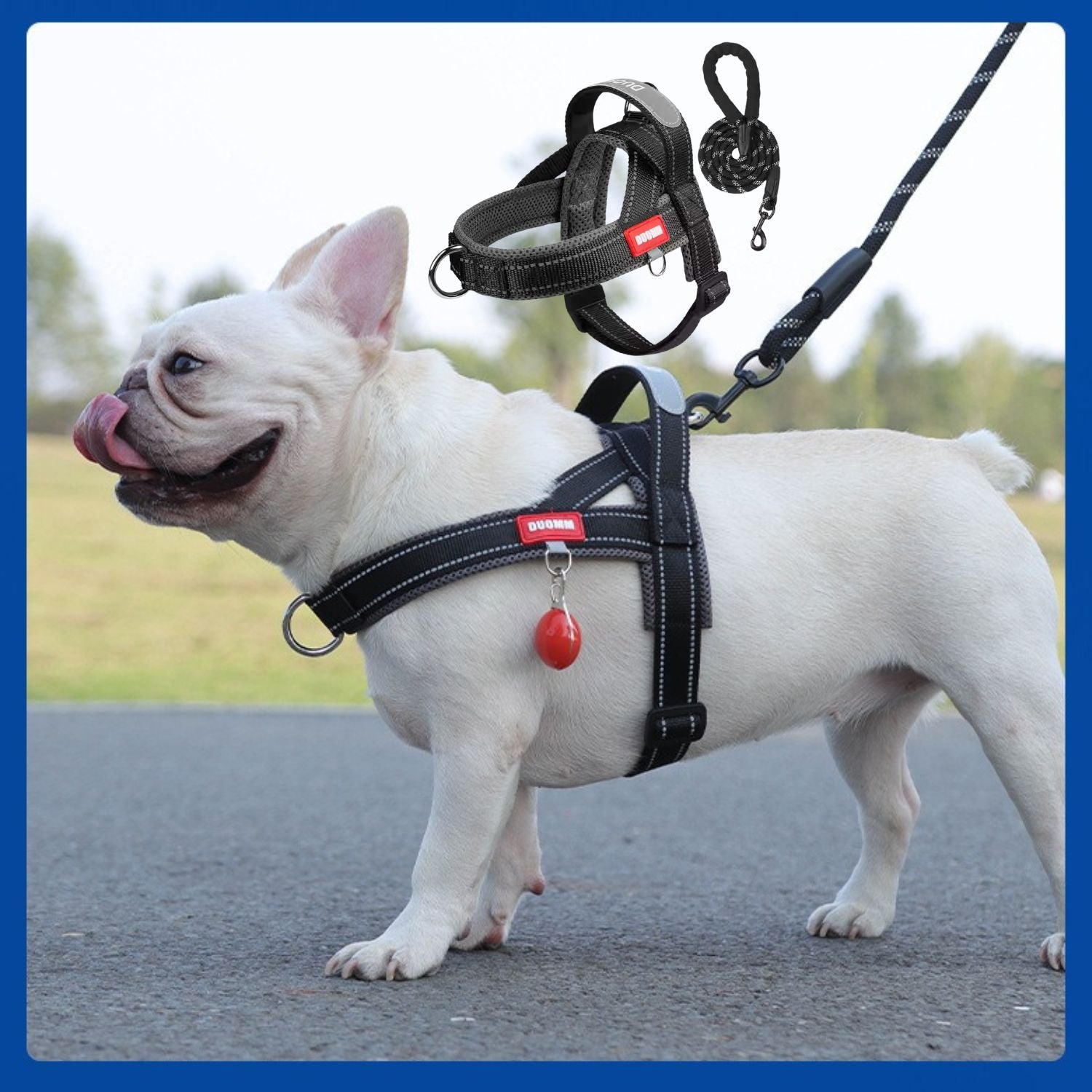 FrenFit No-Pull Walking Harness for Brachycephalic Dogs-fadou