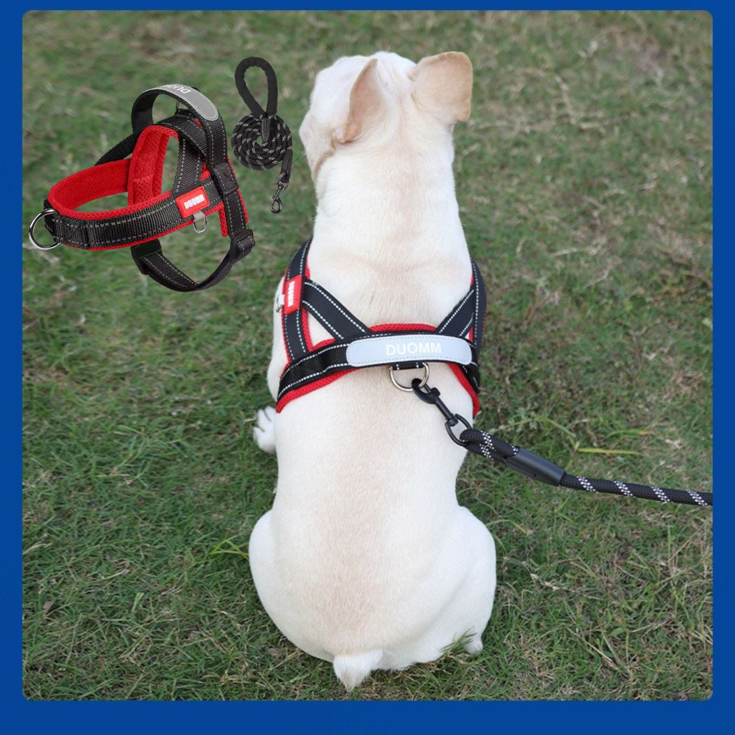 FrenFit No-Pull Walking Harness for Brachycephalic Dogs-fadou