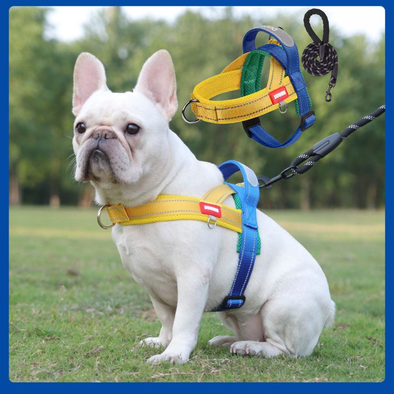 FrenFit No-Pull Walking Harness for Brachycephalic Dogs-fadou