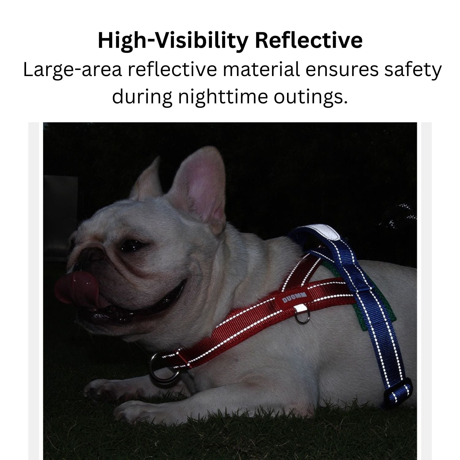 FrenFit No-Pull Walking Harness for Brachycephalic Dogs-fadou