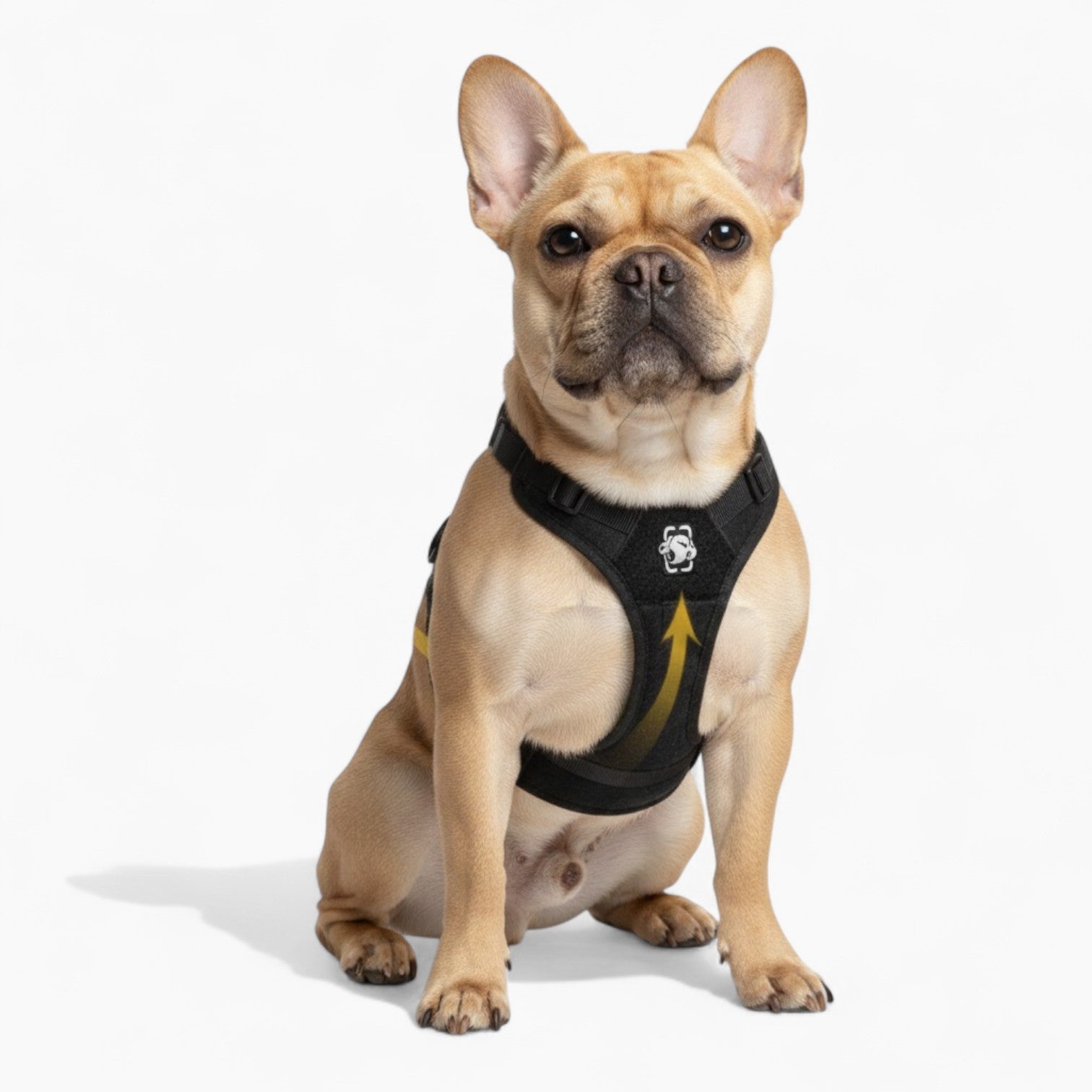 FrenLift™ Frenchie Support Harness – Heavy-Duty for French Bulldogs-fadou