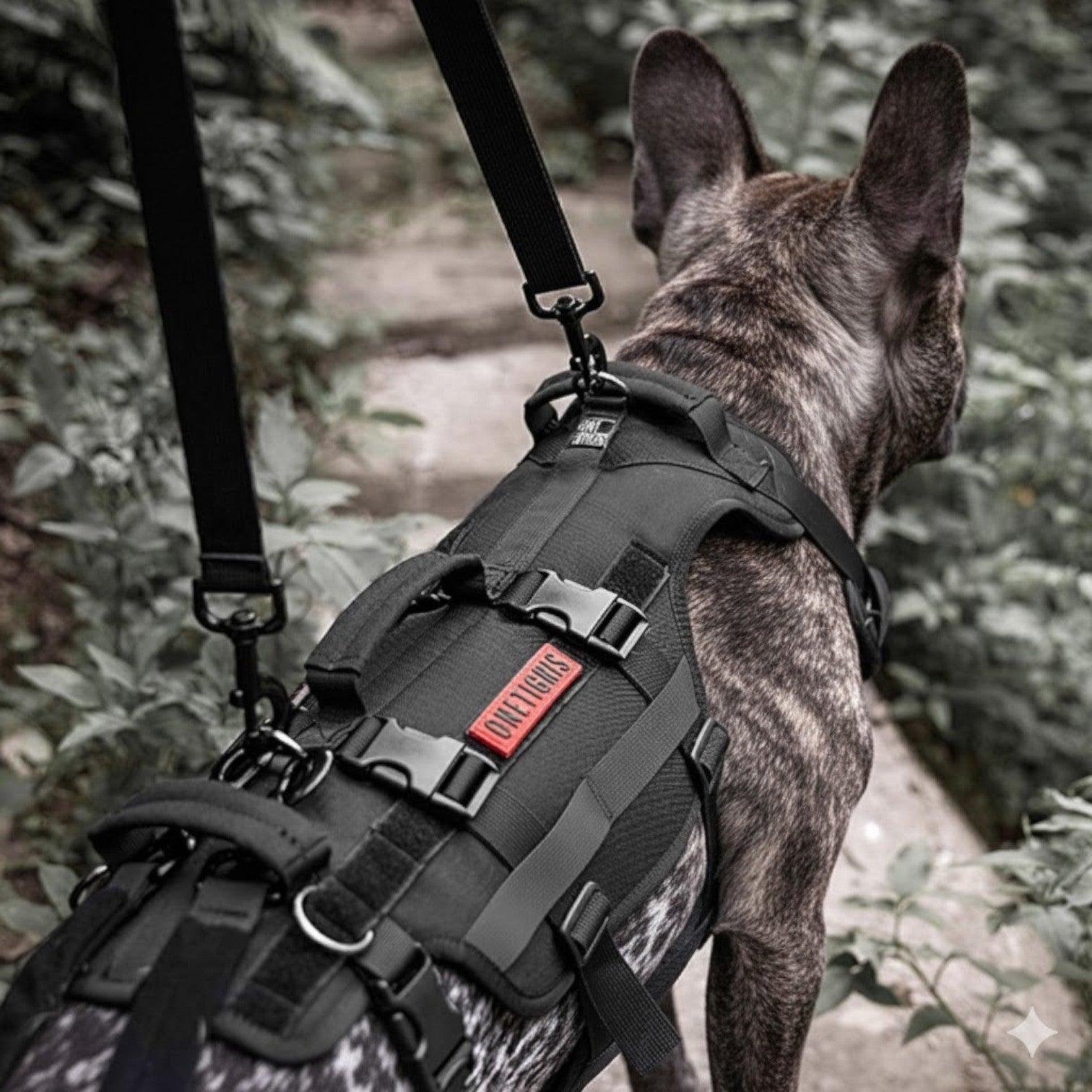 FrenLift™ Frenchie Support Harness – Heavy-Duty for French Bulldogs-fadou