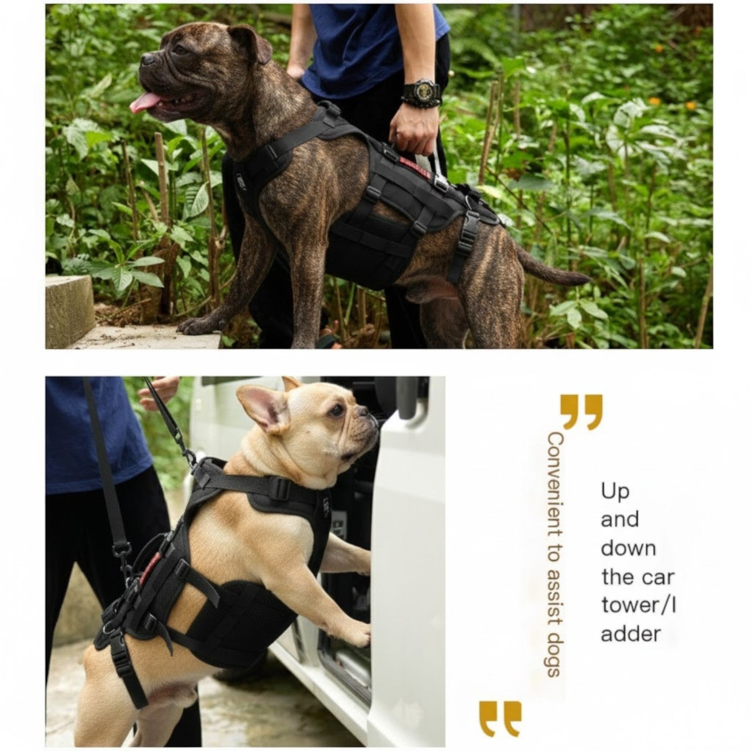 FrenLift™ Frenchie Support Harness – Heavy-Duty for French Bulldogs-fadou