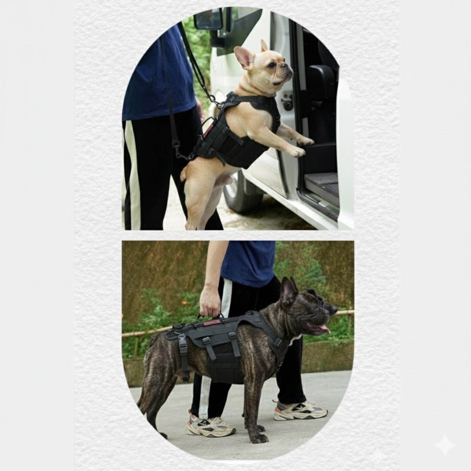 FrenLift™ Frenchie Support Harness – Heavy-Duty for French Bulldogs-fadou