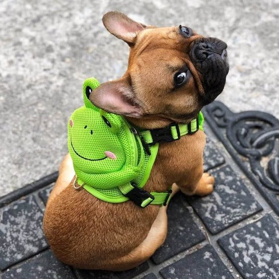 French Bulldog Backpack Harness Set for Outdoor Adventures-fadou