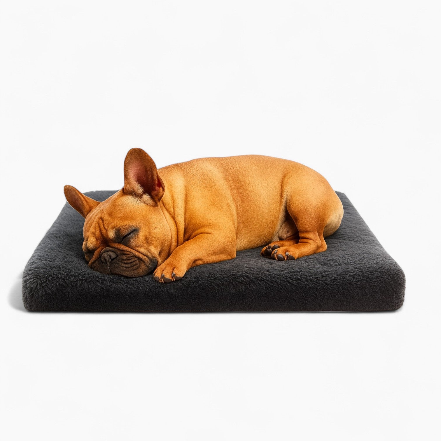 FrenchNap Breathable Cozy Sofa Bed for Short-Nosed Dogs-fadou