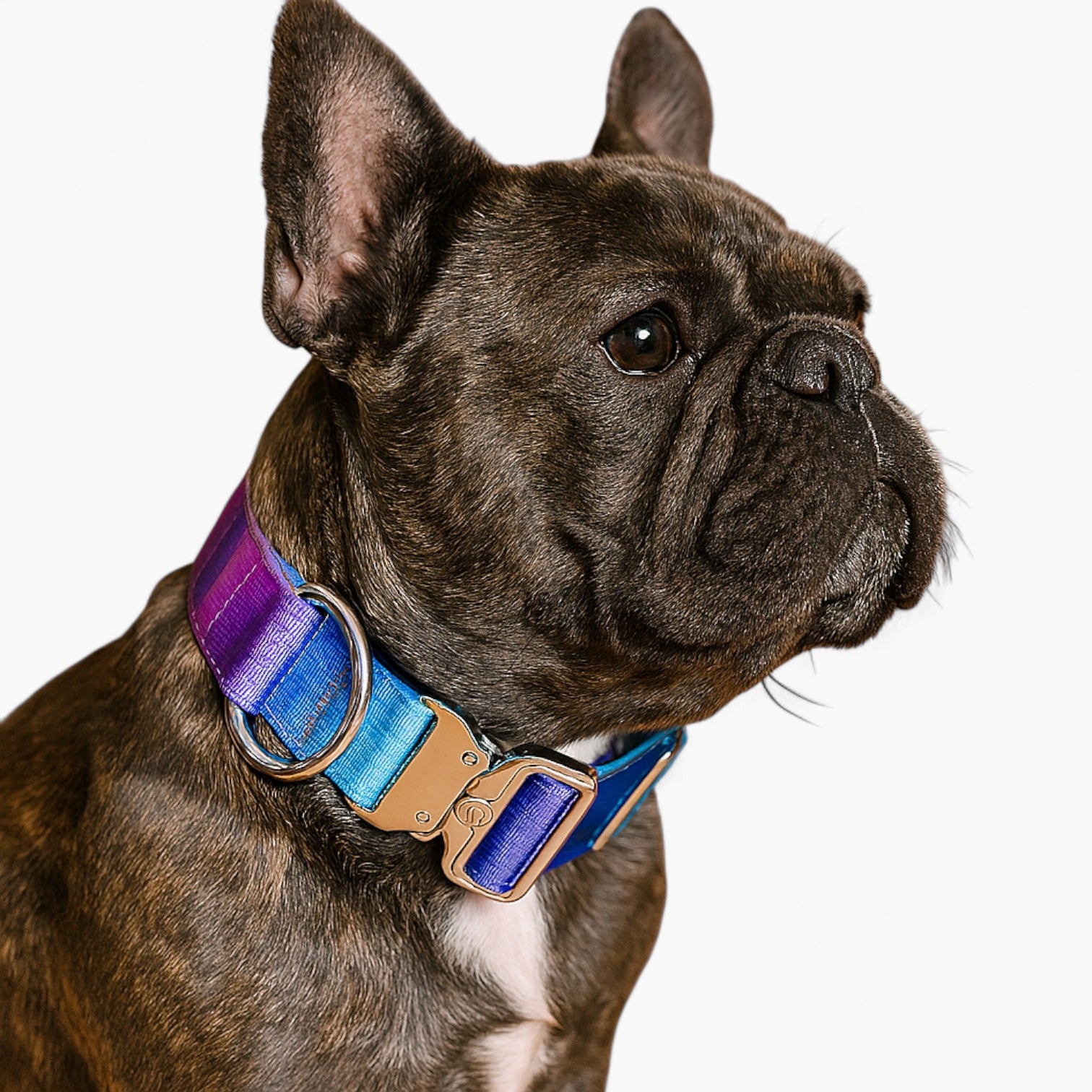 French Bulldog Tactical Adjustable Collar for Brachycephalic Dogs-fadou