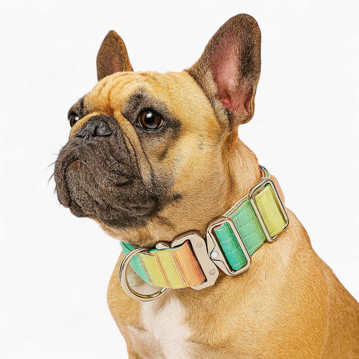 French Bulldog Tactical Adjustable Collar for Brachycephalic Dogs-fadou
