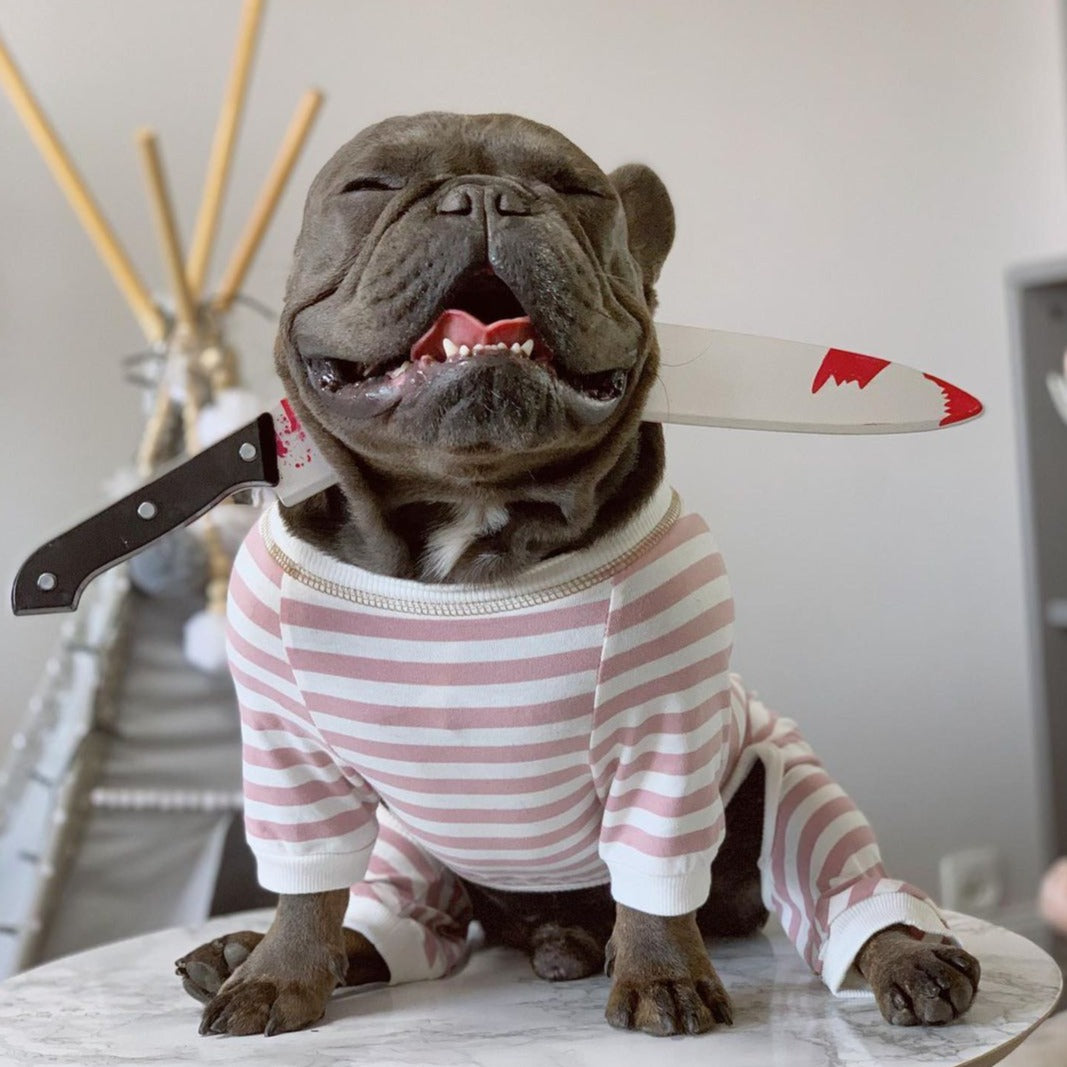 French Bulldog Halloween Dog Item for Brachycephalic Dogs-fadou